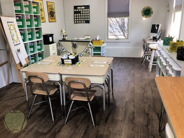 Some might say that "curtains" are not necessary and I would agree 100%. They aren't necessary at all and probably won't impact student learning a whole lot.So why bother?