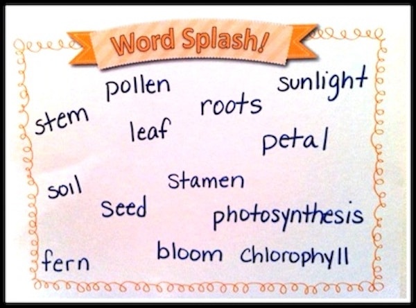 Check out this fun way to check for previous vocabulary knowledge when starting a new unit of learning in the classroom. Works for reading and math!