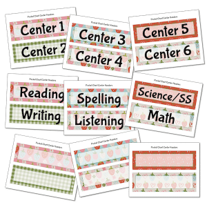 Pocket chart stands are a necessity in an elementary classroom.  They can be used for so many different activities in daily lessons and perfect for review.